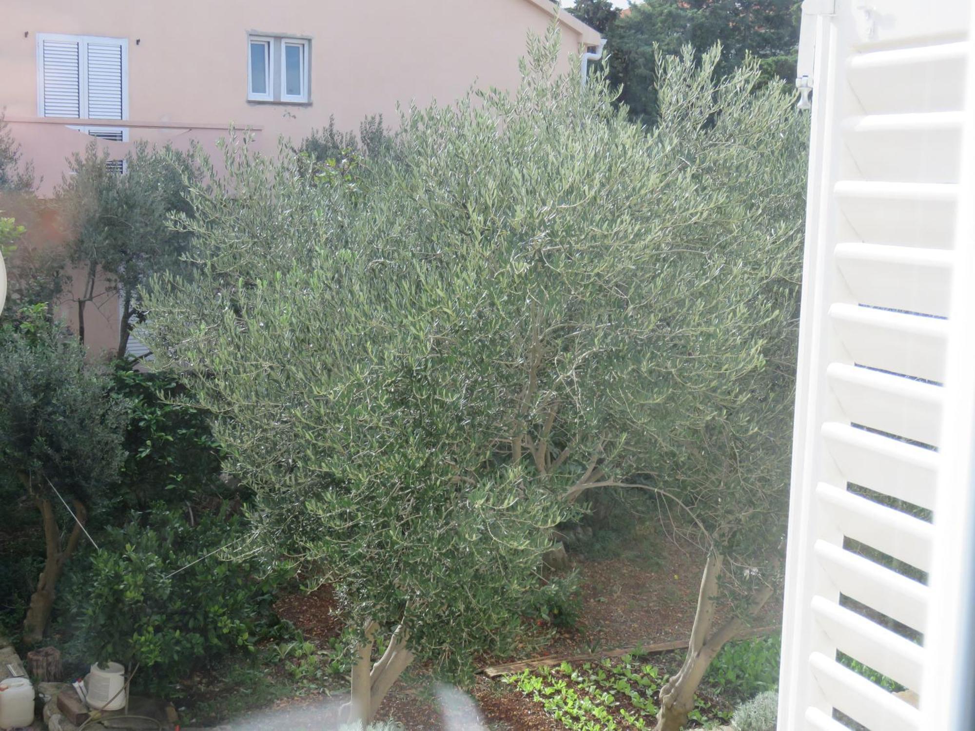 Guest House Miro Novalja Δωμάτιο φωτογραφία